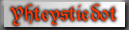Yhteystiedot